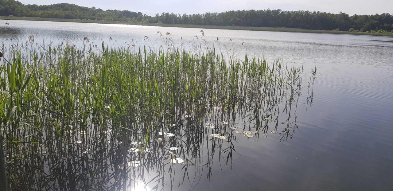 Ferienresidenz Naturoase Krakow am See Luaran gambar