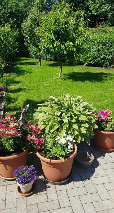 Ferienresidenz Naturoase Krakow am See Luaran gambar