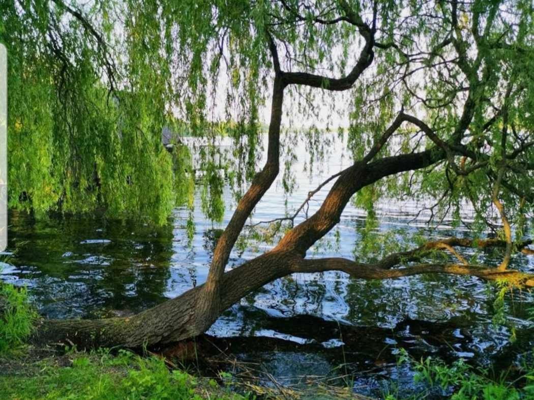 Ferienresidenz Naturoase Krakow am See Luaran gambar